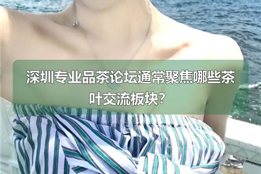 深圳专业品茶论坛通常聚焦哪些茶叶交流板块？